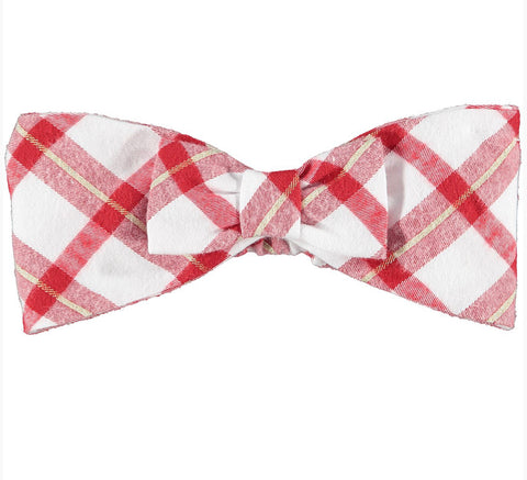 Little a Brittany check hairband lw21914